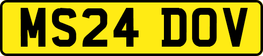 MS24DOV