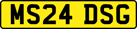 MS24DSG