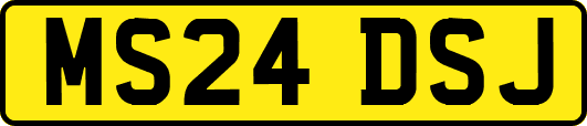 MS24DSJ