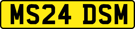 MS24DSM
