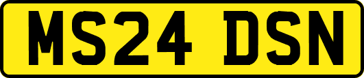 MS24DSN