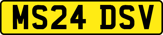 MS24DSV
