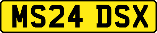 MS24DSX