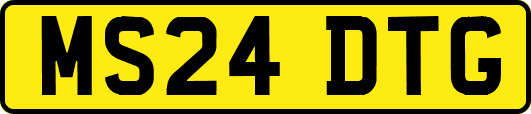 MS24DTG