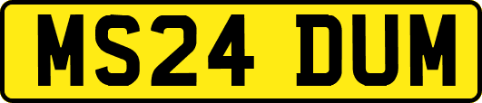MS24DUM