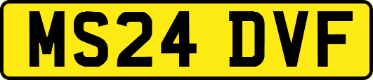 MS24DVF