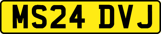 MS24DVJ