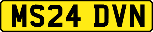 MS24DVN