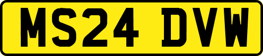 MS24DVW
