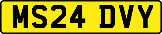 MS24DVY
