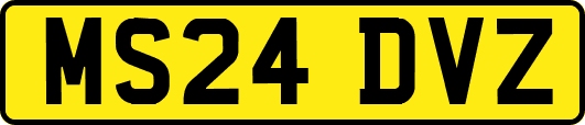 MS24DVZ