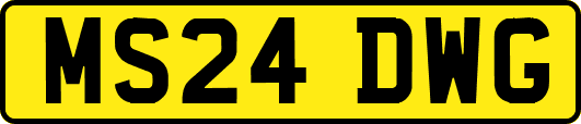 MS24DWG