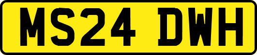 MS24DWH