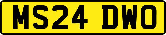 MS24DWO
