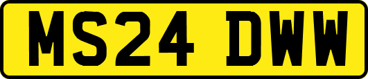 MS24DWW