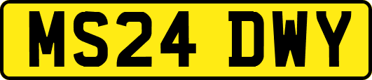 MS24DWY