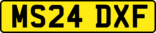 MS24DXF