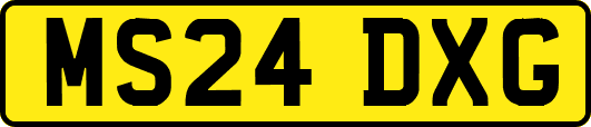 MS24DXG