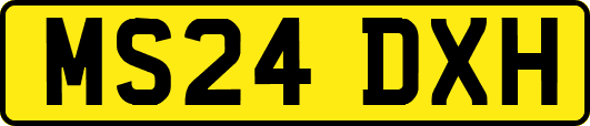 MS24DXH
