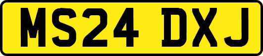 MS24DXJ