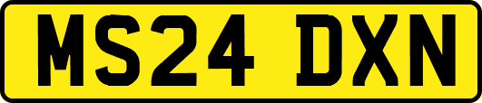 MS24DXN