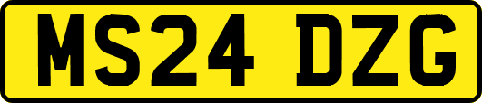 MS24DZG