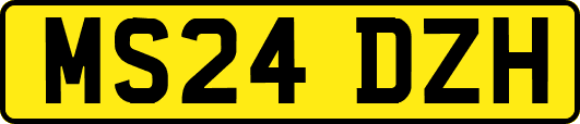 MS24DZH