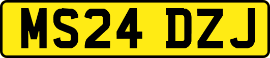 MS24DZJ