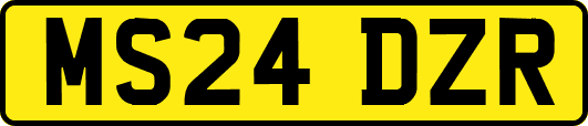 MS24DZR