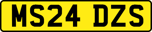 MS24DZS