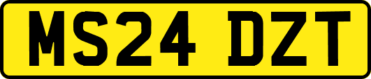 MS24DZT