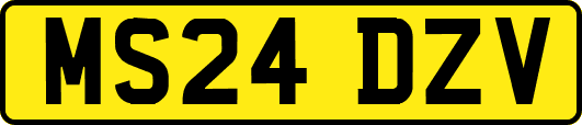 MS24DZV
