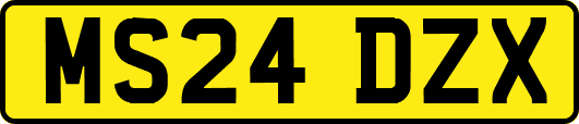 MS24DZX