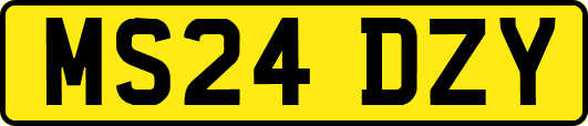 MS24DZY
