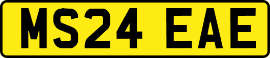 MS24EAE