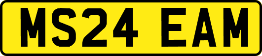 MS24EAM