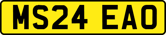 MS24EAO