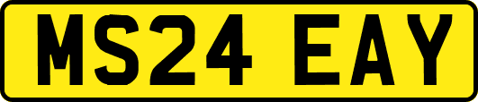 MS24EAY