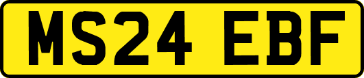 MS24EBF