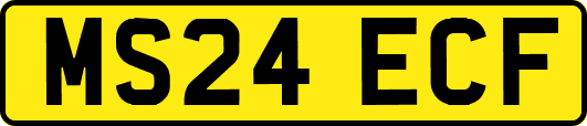 MS24ECF