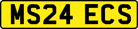 MS24ECS