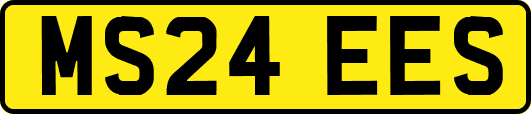MS24EES