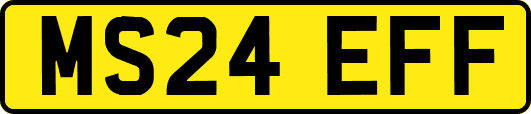 MS24EFF