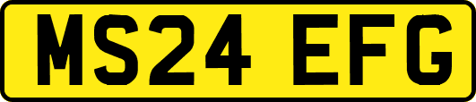 MS24EFG