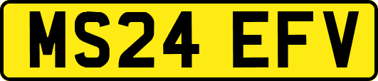 MS24EFV