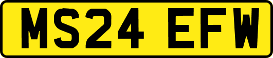 MS24EFW