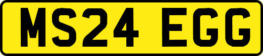 MS24EGG