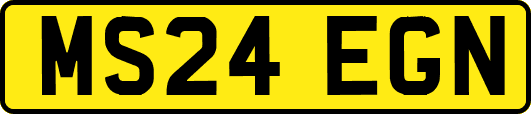 MS24EGN