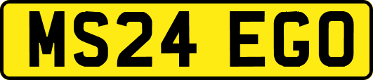 MS24EGO
