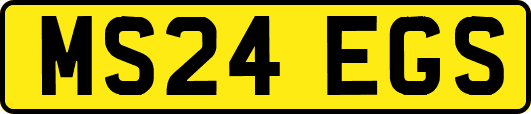 MS24EGS